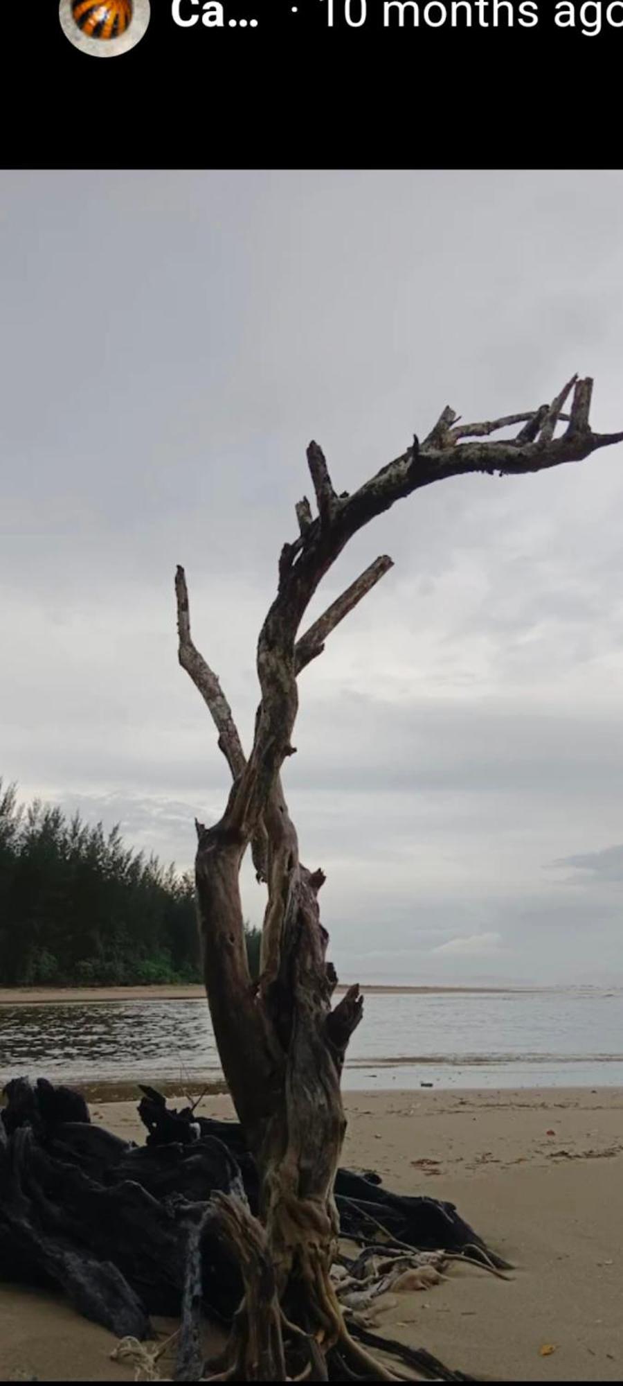 The Mangrove Villa Sematan ภายนอก รูปภาพ
