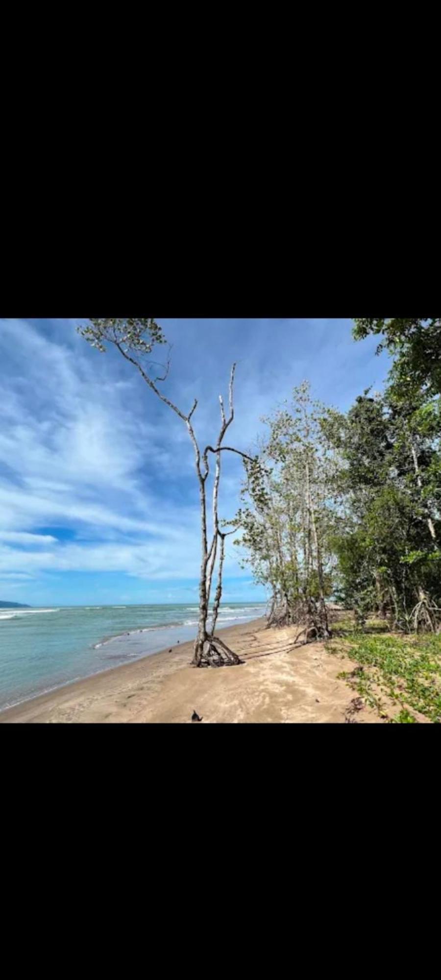 The Mangrove Villa Sematan ภายนอก รูปภาพ